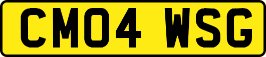 CM04WSG
