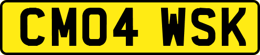 CM04WSK