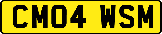 CM04WSM
