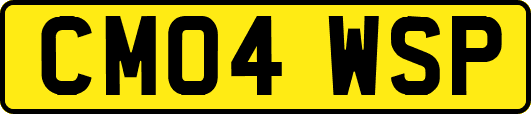 CM04WSP