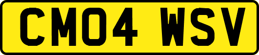 CM04WSV
