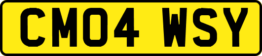 CM04WSY