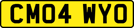 CM04WYO