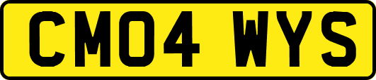 CM04WYS