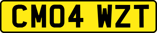 CM04WZT