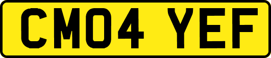 CM04YEF