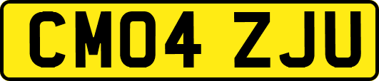 CM04ZJU