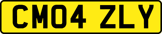 CM04ZLY