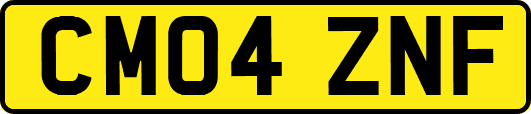 CM04ZNF
