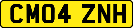 CM04ZNH