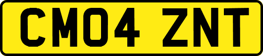 CM04ZNT