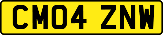 CM04ZNW