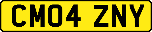 CM04ZNY