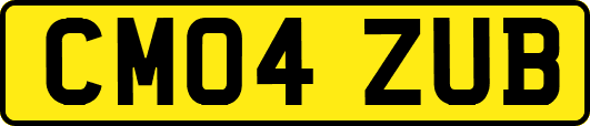 CM04ZUB