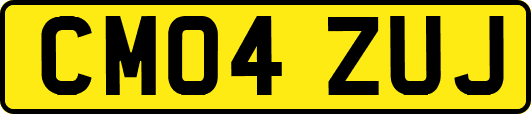 CM04ZUJ