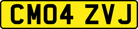 CM04ZVJ