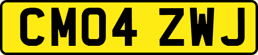 CM04ZWJ