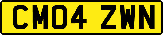 CM04ZWN