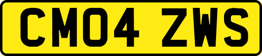 CM04ZWS