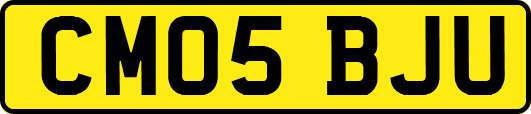 CM05BJU