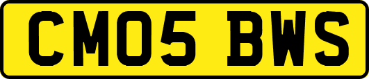 CM05BWS