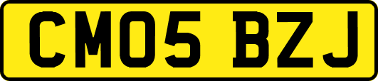 CM05BZJ
