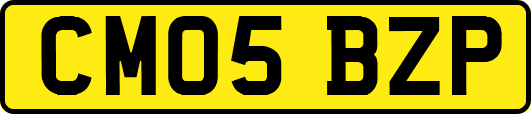 CM05BZP