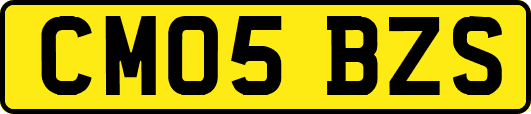CM05BZS