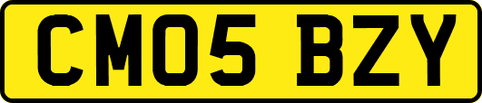 CM05BZY