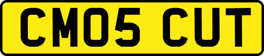 CM05CUT