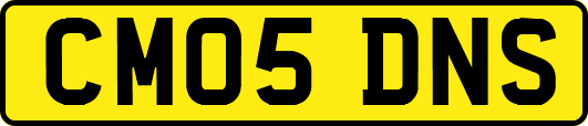 CM05DNS