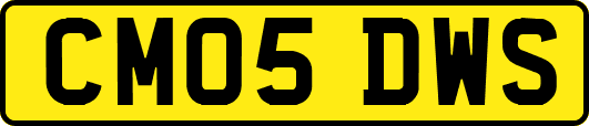 CM05DWS