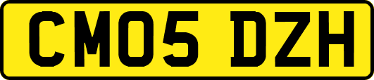 CM05DZH