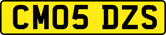 CM05DZS