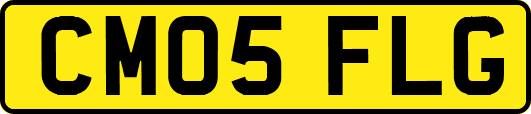 CM05FLG