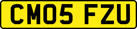 CM05FZU