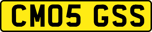 CM05GSS