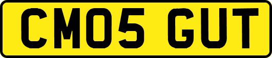 CM05GUT