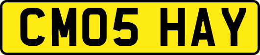 CM05HAY