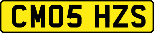 CM05HZS