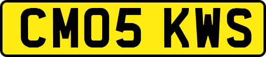 CM05KWS