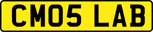 CM05LAB