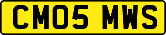 CM05MWS