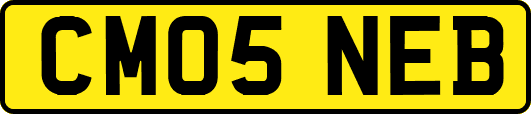 CM05NEB