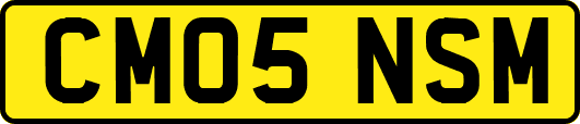 CM05NSM