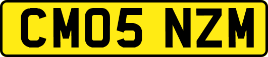 CM05NZM