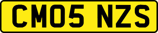 CM05NZS