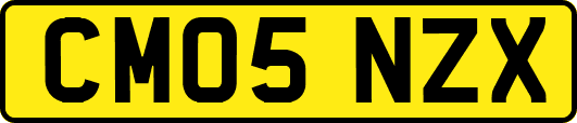 CM05NZX