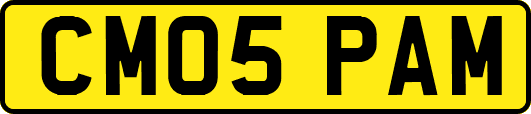 CM05PAM