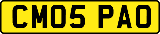 CM05PAO